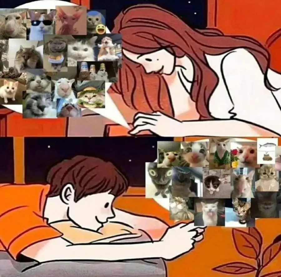 Untitled meme