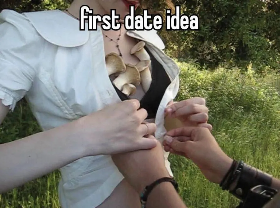 Untitled meme