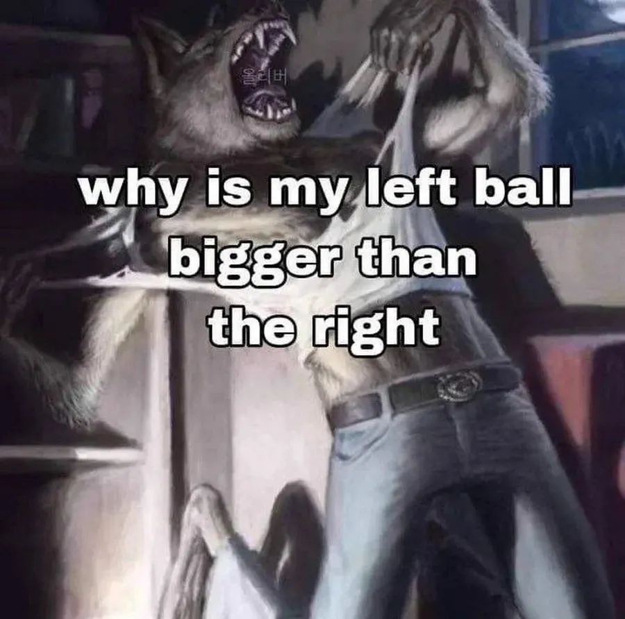 Untitled meme
