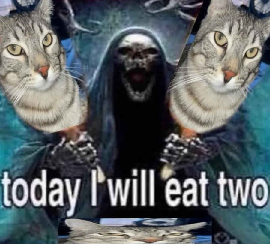 Untitled meme