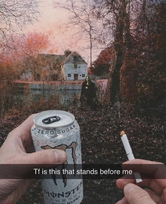 Untitled meme