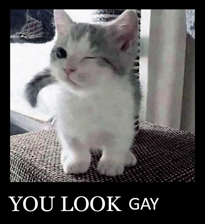 Untitled meme