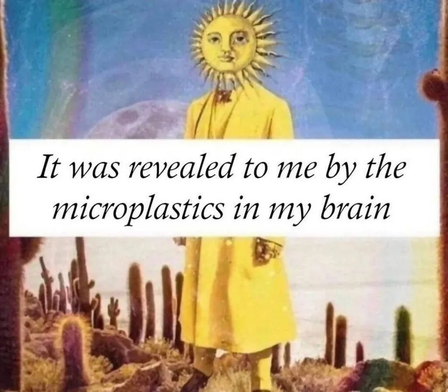 Untitled meme