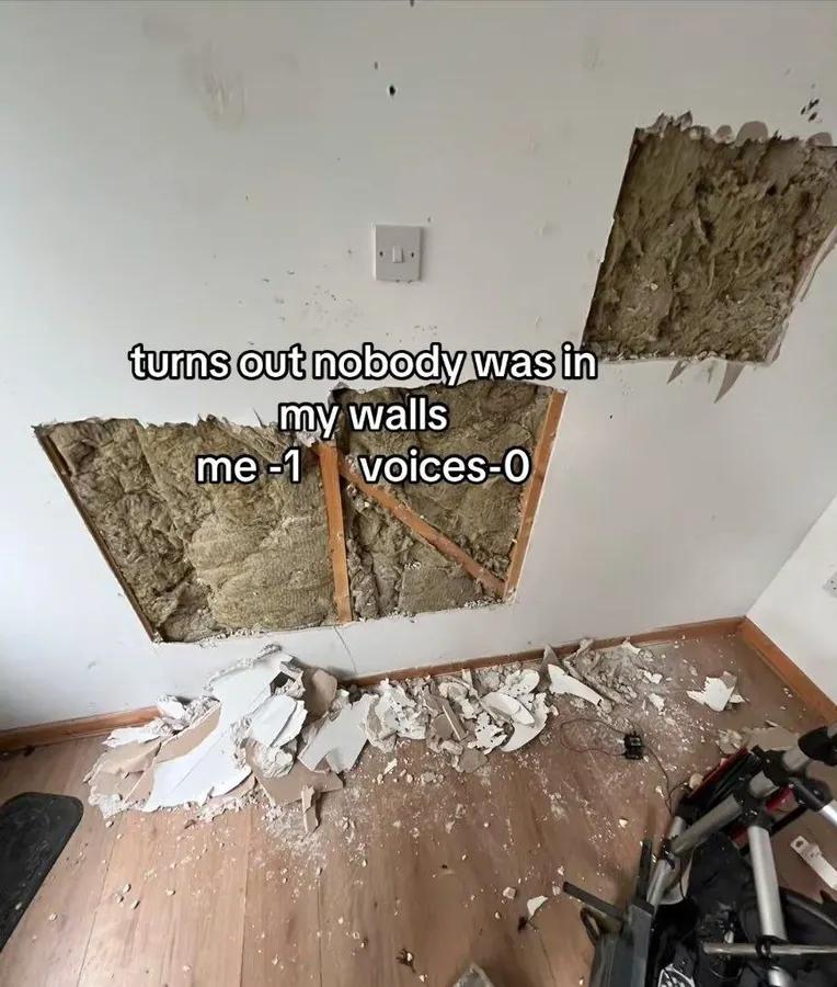 Untitled meme