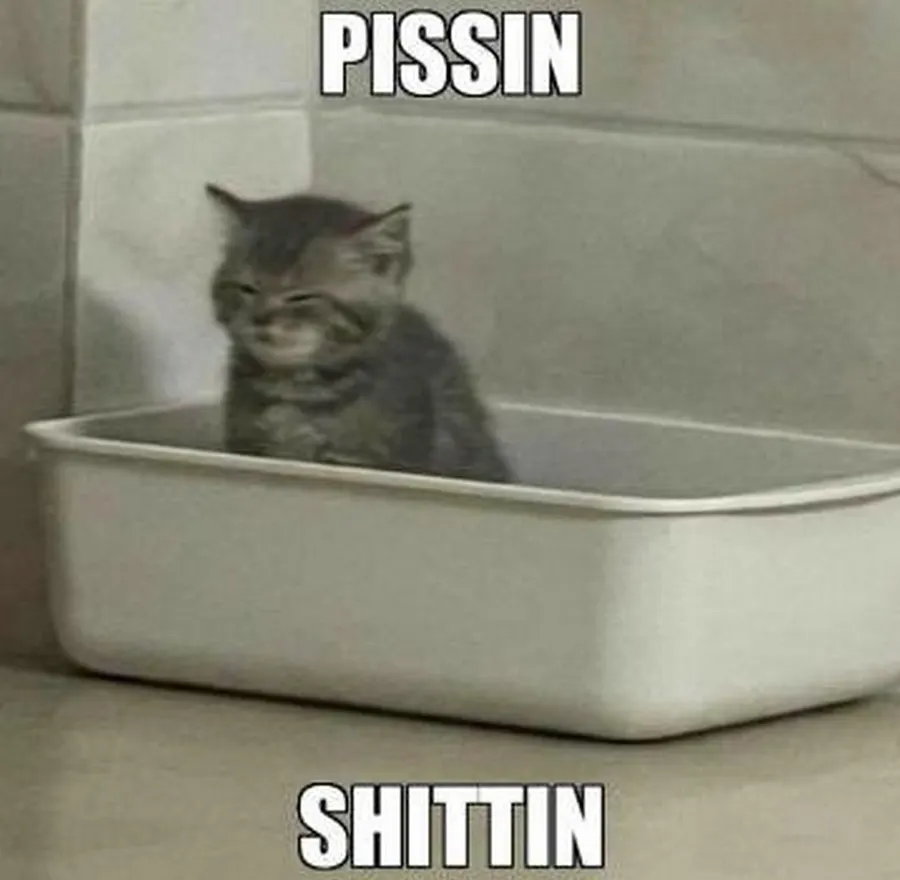 Untitled meme