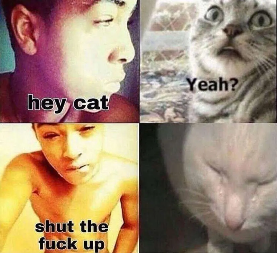Untitled meme