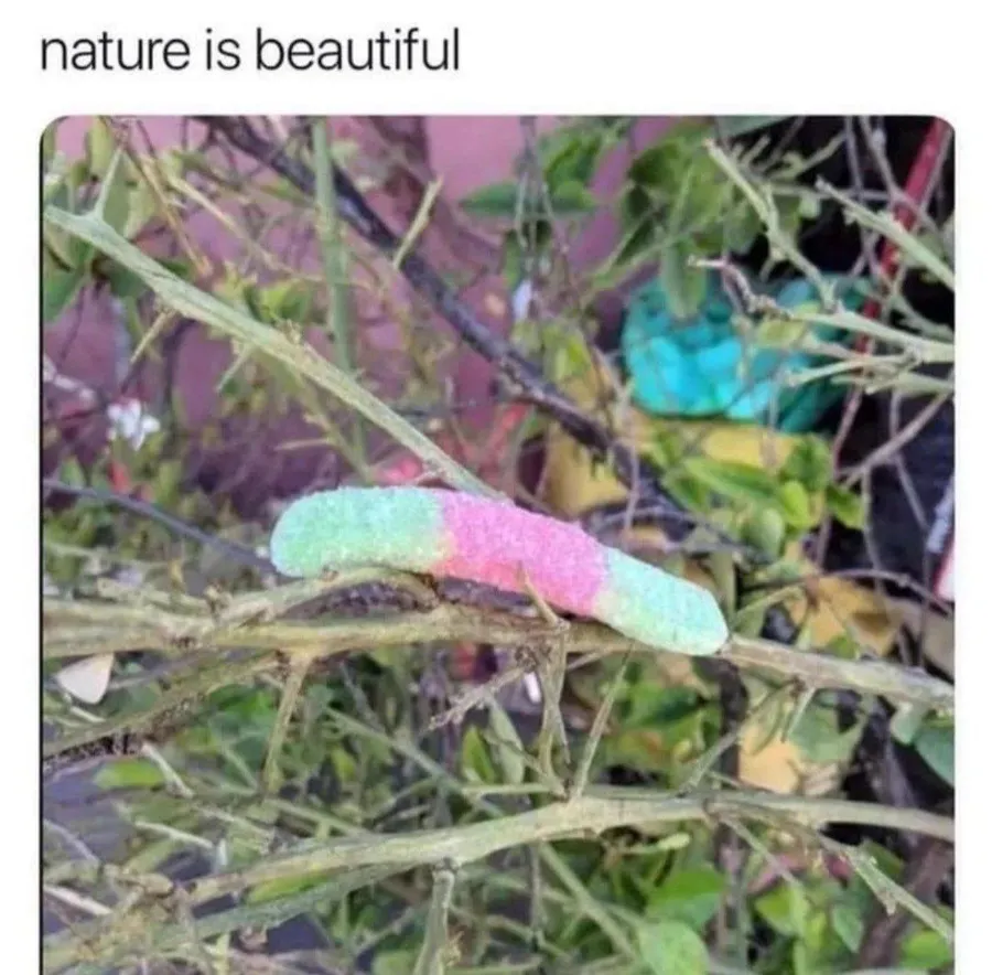 Untitled meme
