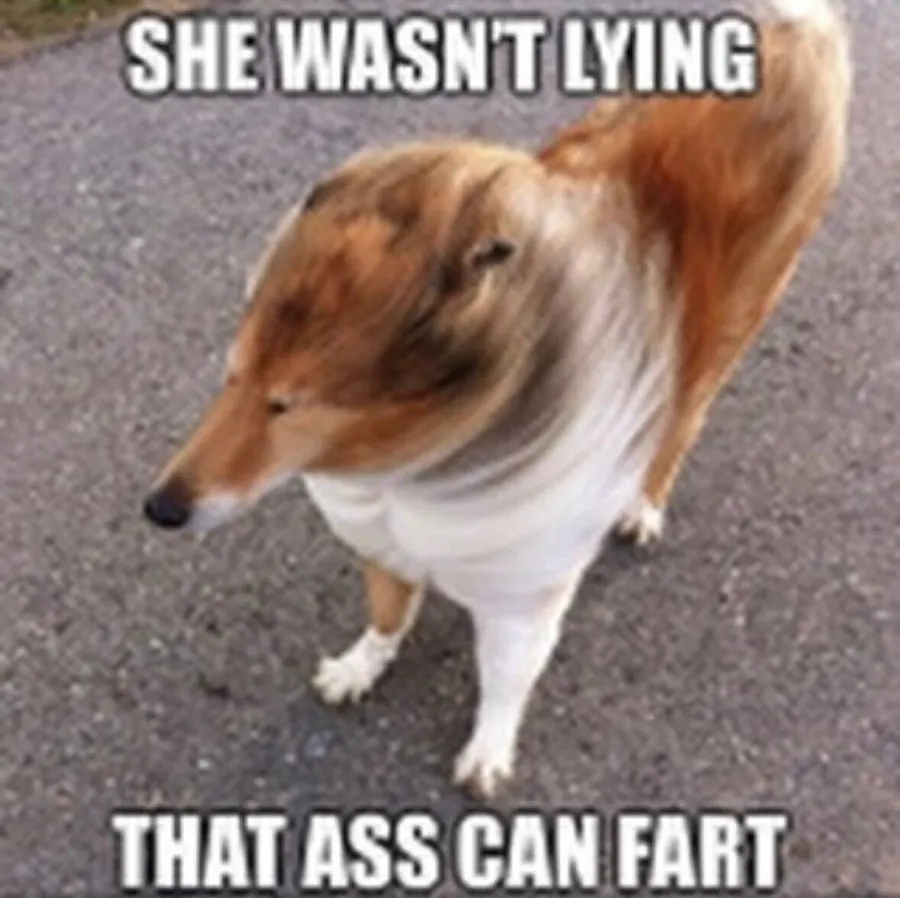 Untitled meme