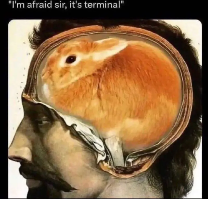 Untitled meme
