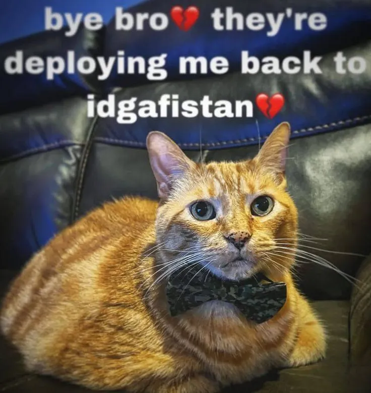 Untitled meme