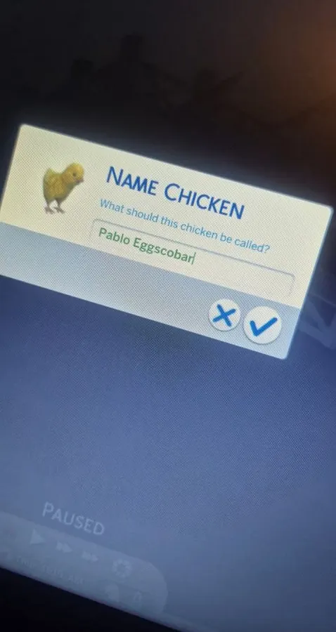 Untitled meme