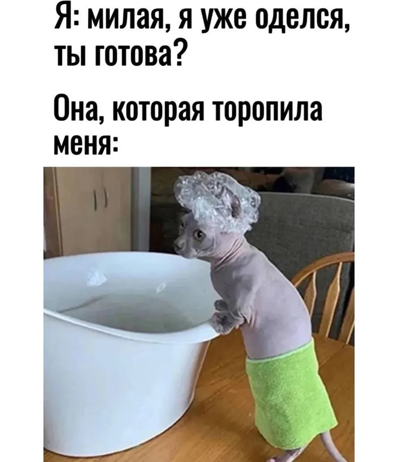 Untitled meme