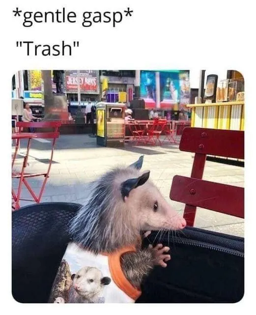 Untitled meme