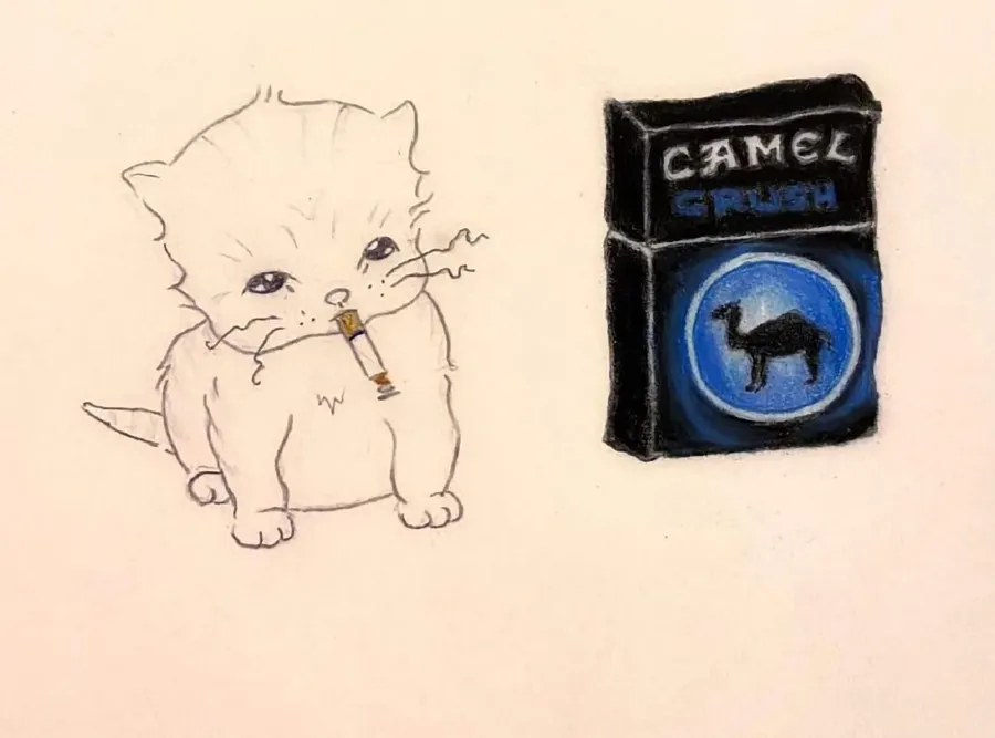 Untitled meme