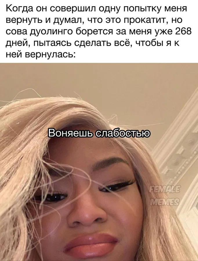 Untitled meme