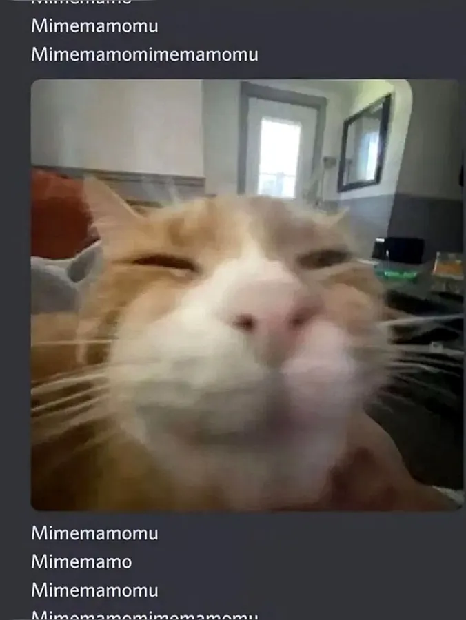 Untitled meme