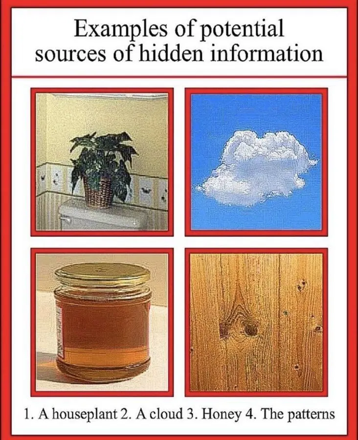 Untitled meme