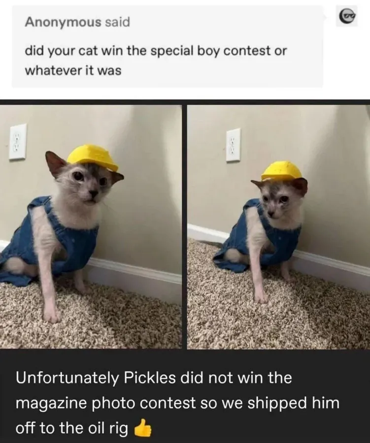 Untitled meme