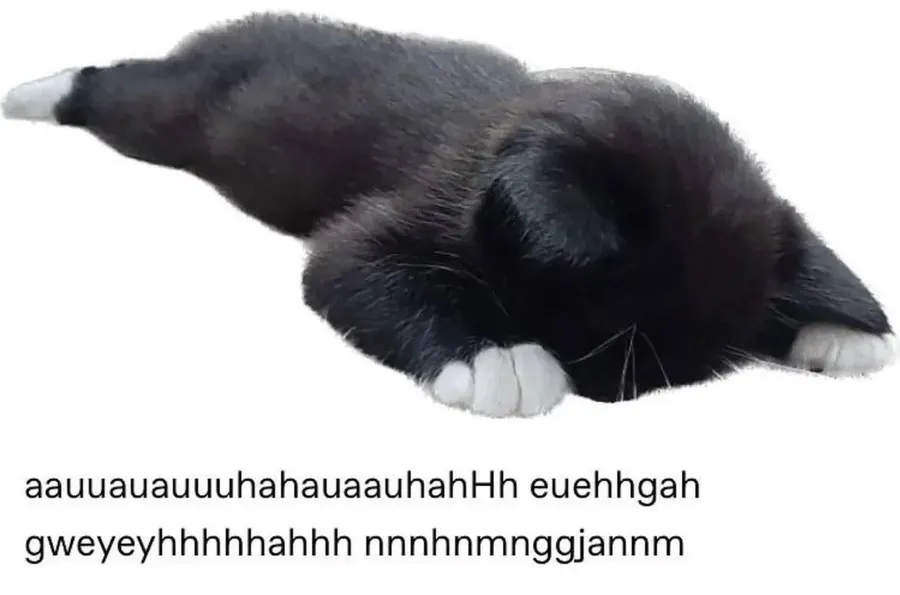 Untitled meme