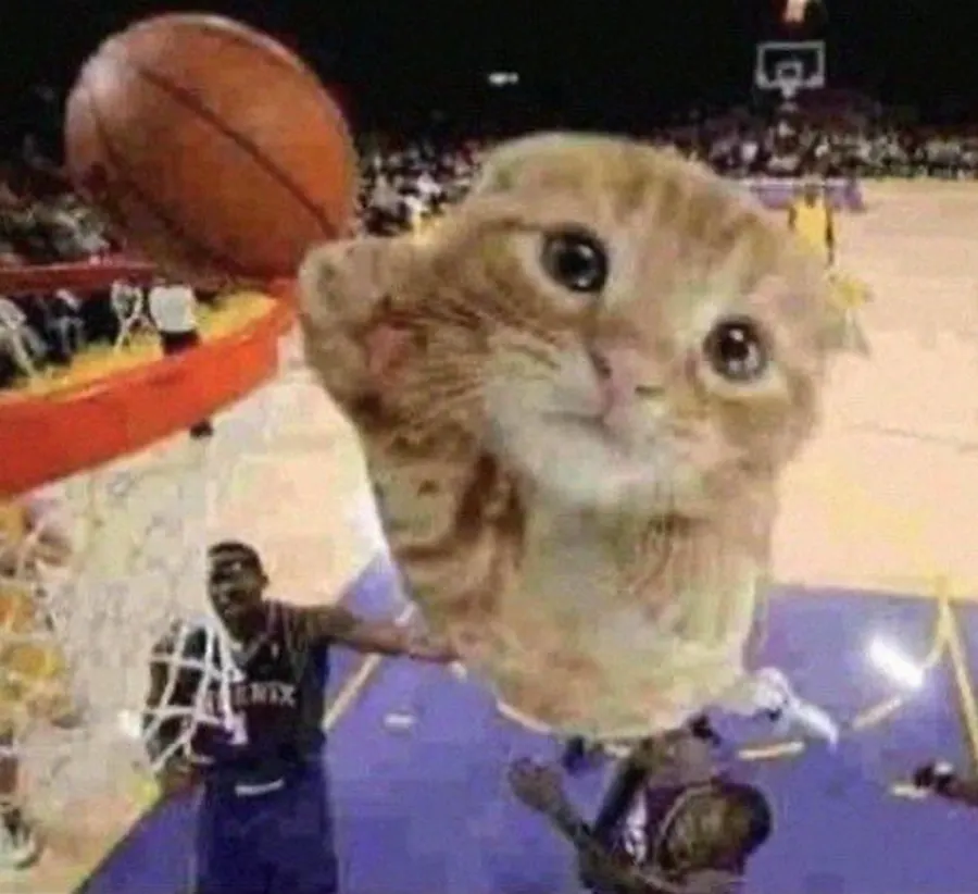 Untitled meme