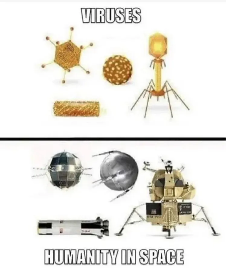 Untitled meme