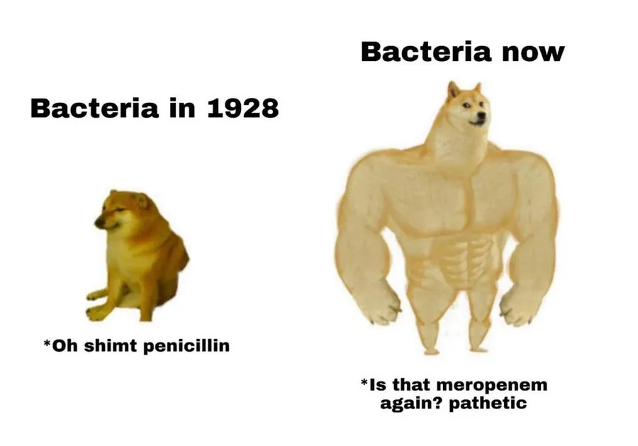 Untitled meme