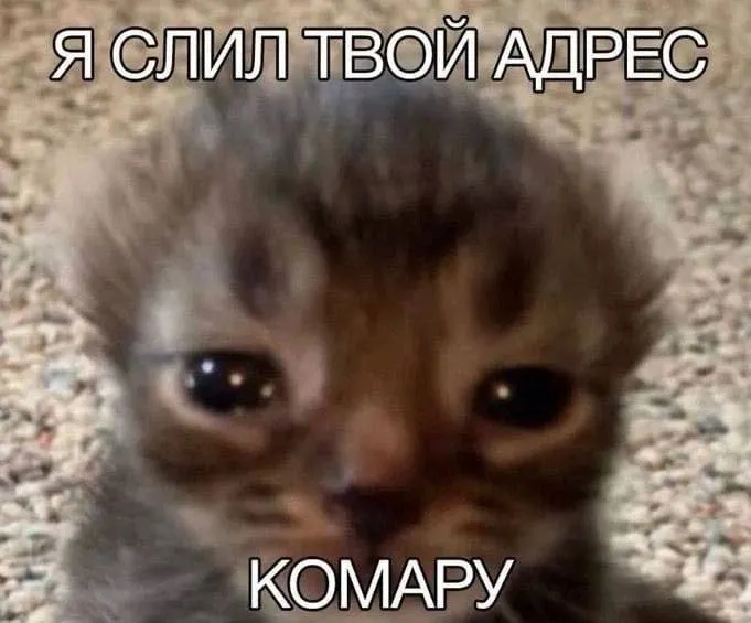 Untitled meme