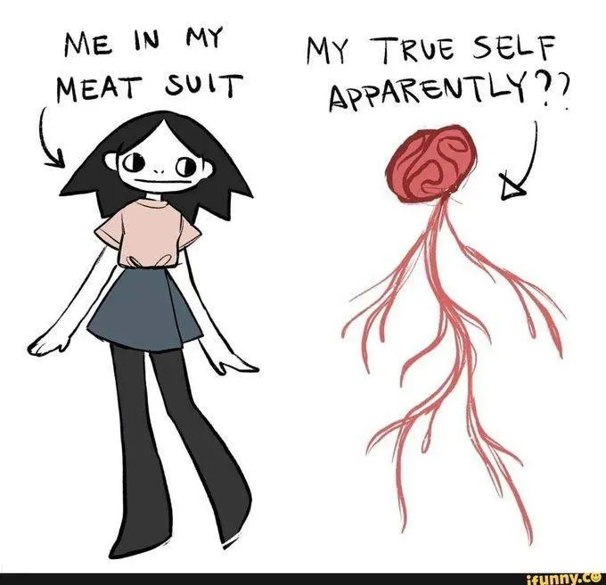 Untitled meme