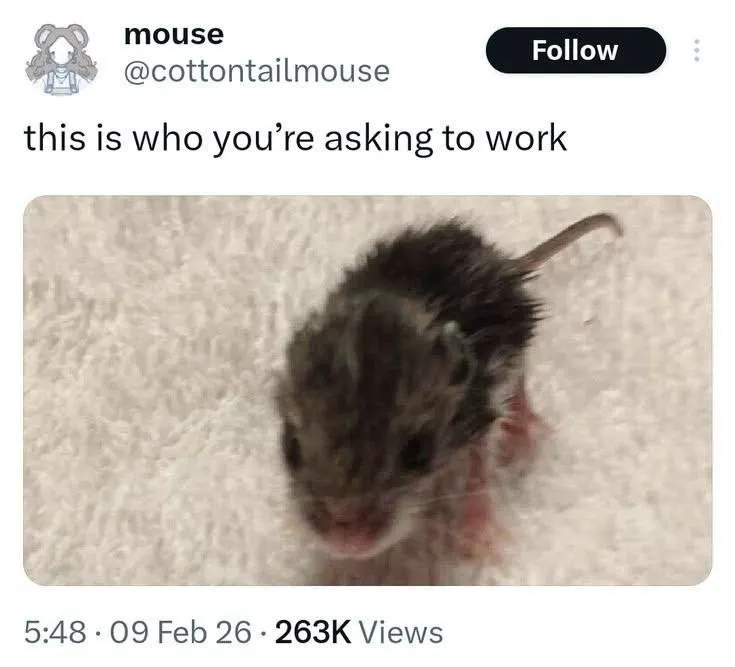 Untitled meme