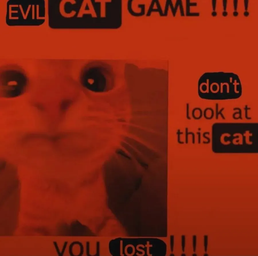 Untitled meme