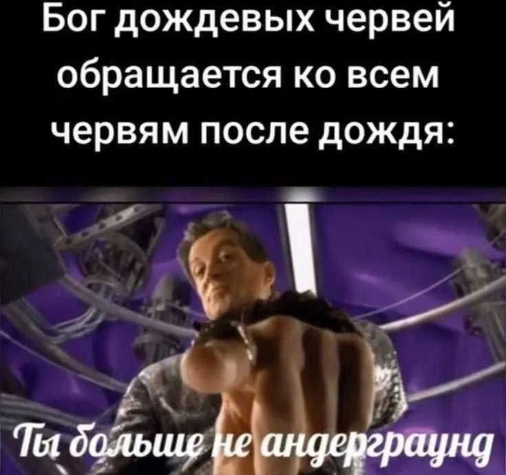 Untitled meme