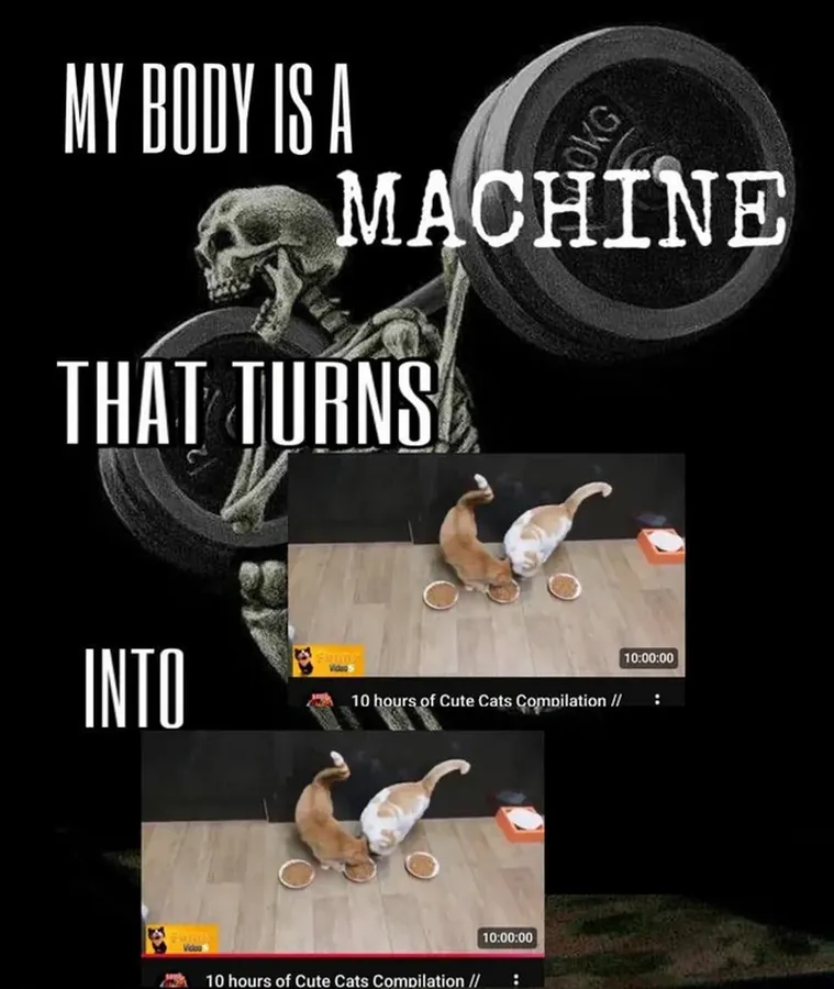 Untitled meme