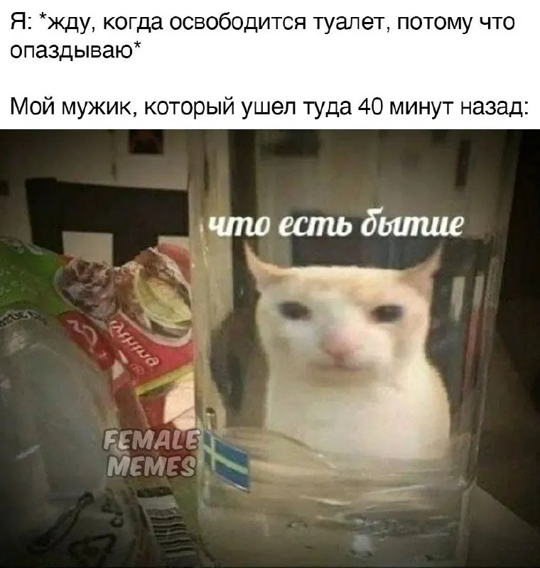 Untitled meme