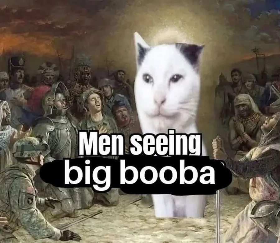 Untitled meme