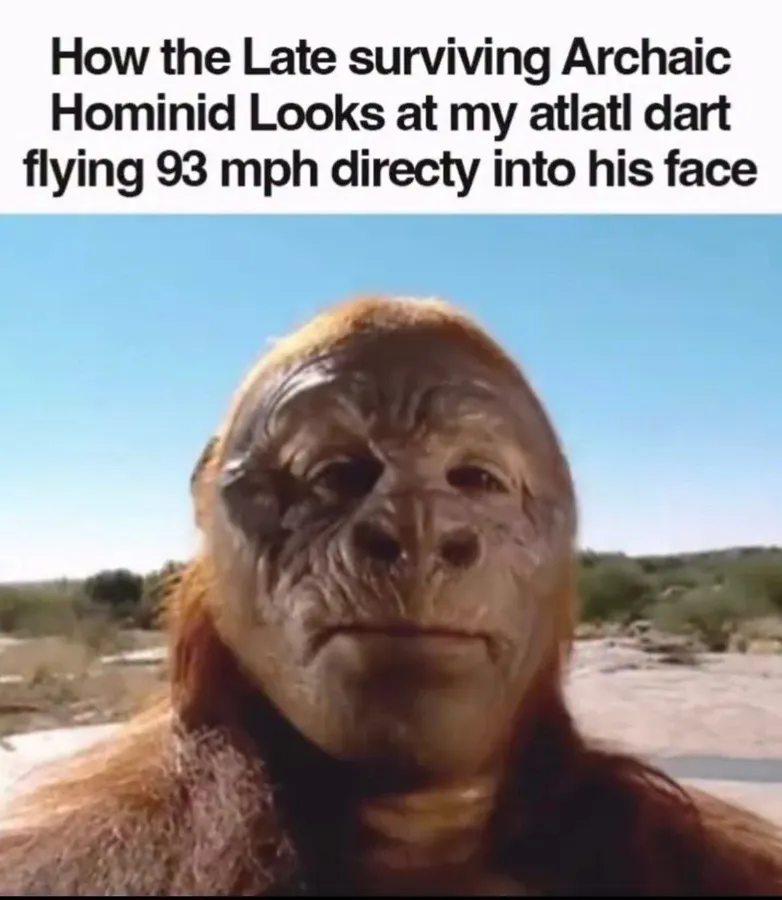 Untitled meme
