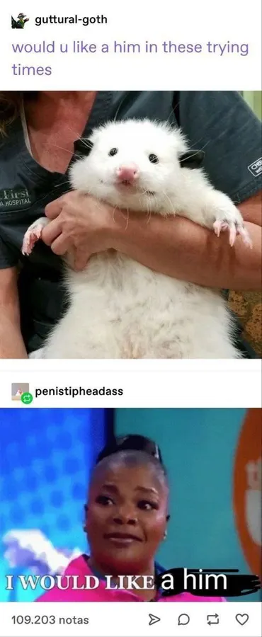 Untitled meme