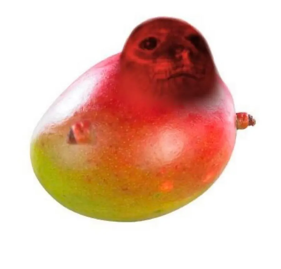 Untitled meme