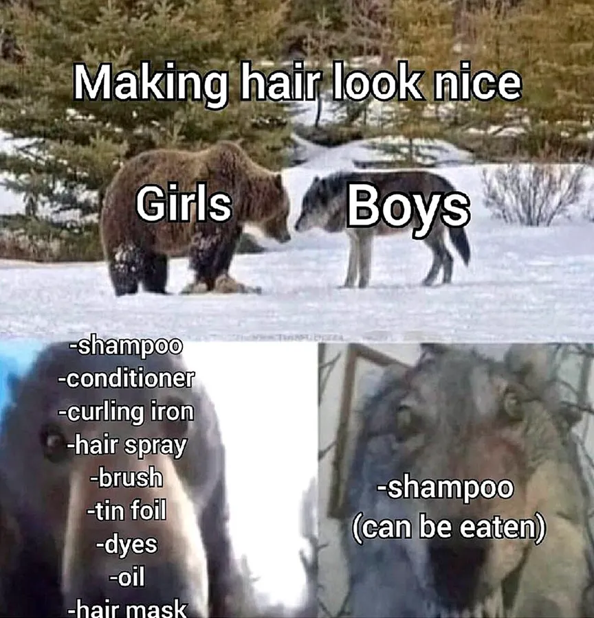 Untitled meme