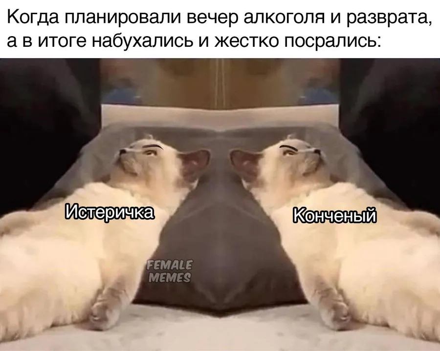 Untitled meme