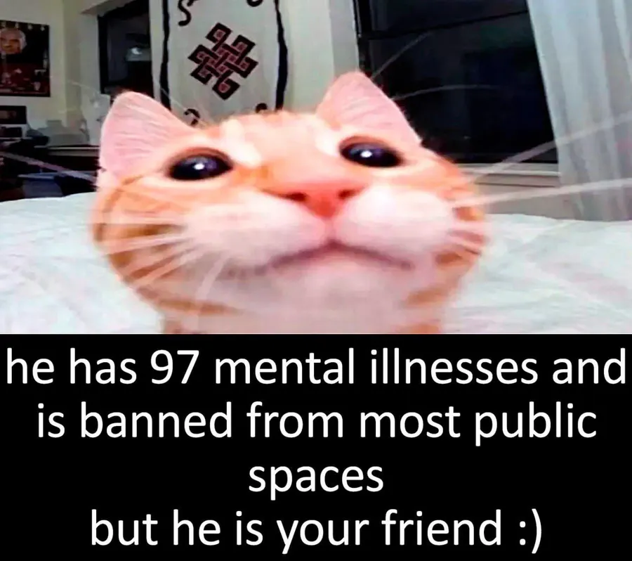 Untitled meme