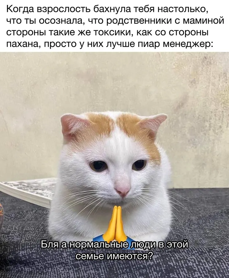 Untitled meme