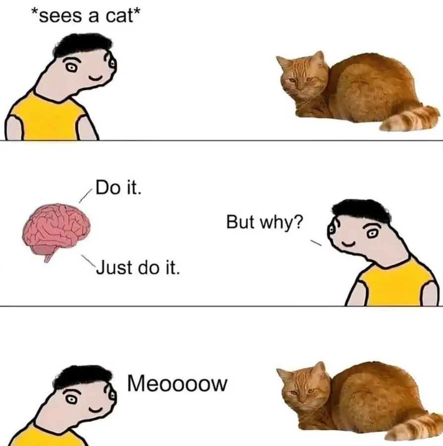 Untitled meme