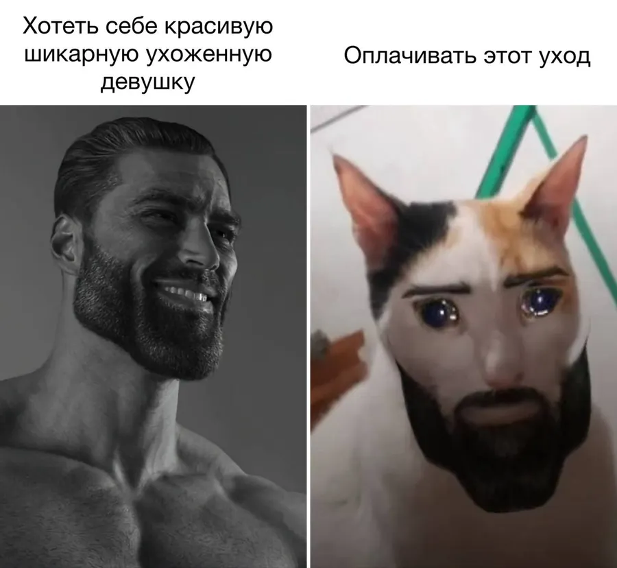 Untitled meme