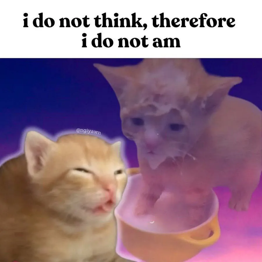 Untitled meme