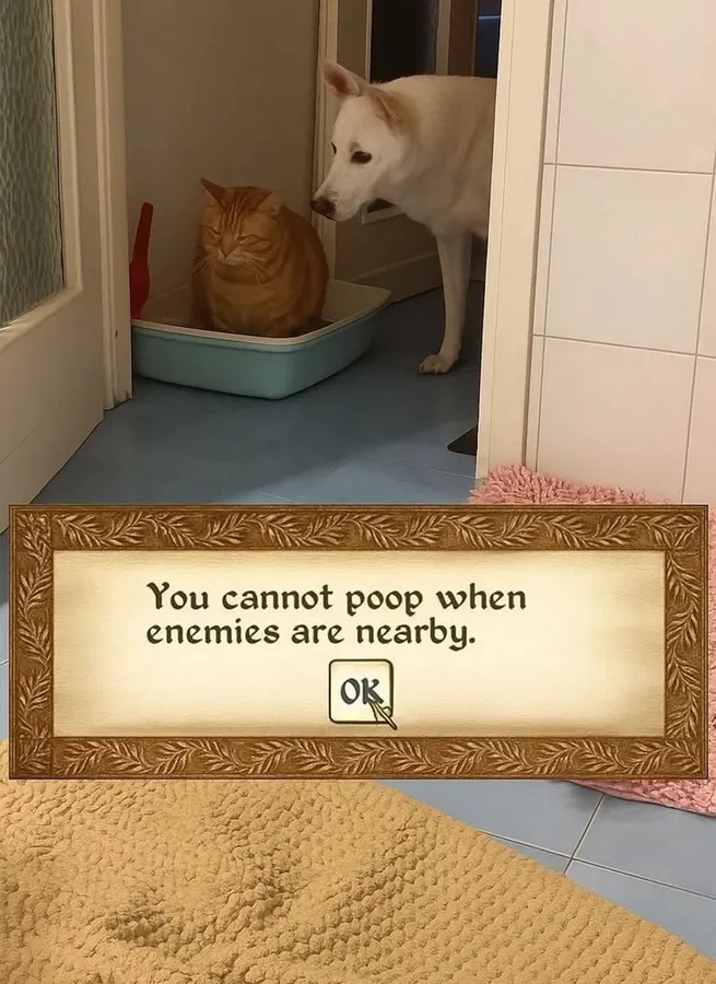 Untitled meme
