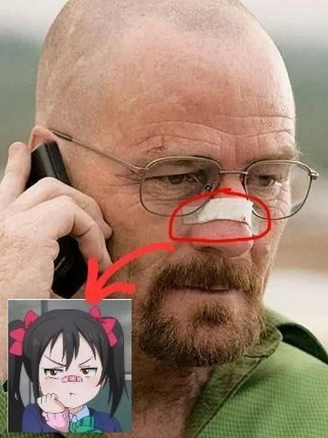 Untitled meme