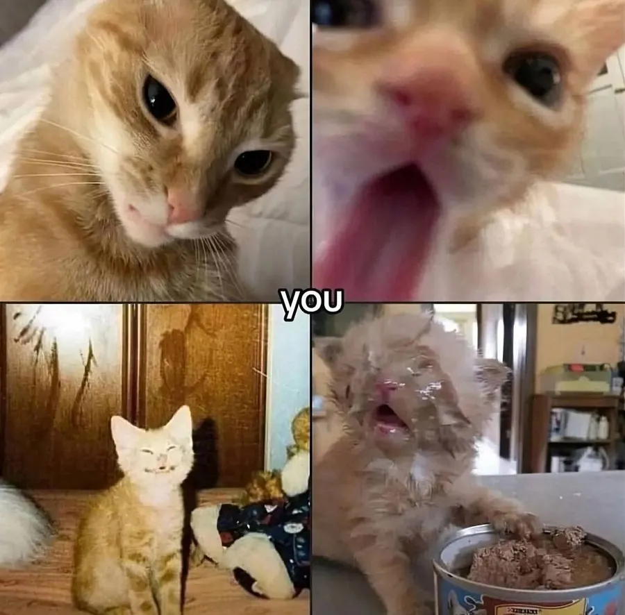 Untitled meme