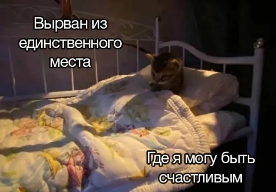 Untitled meme