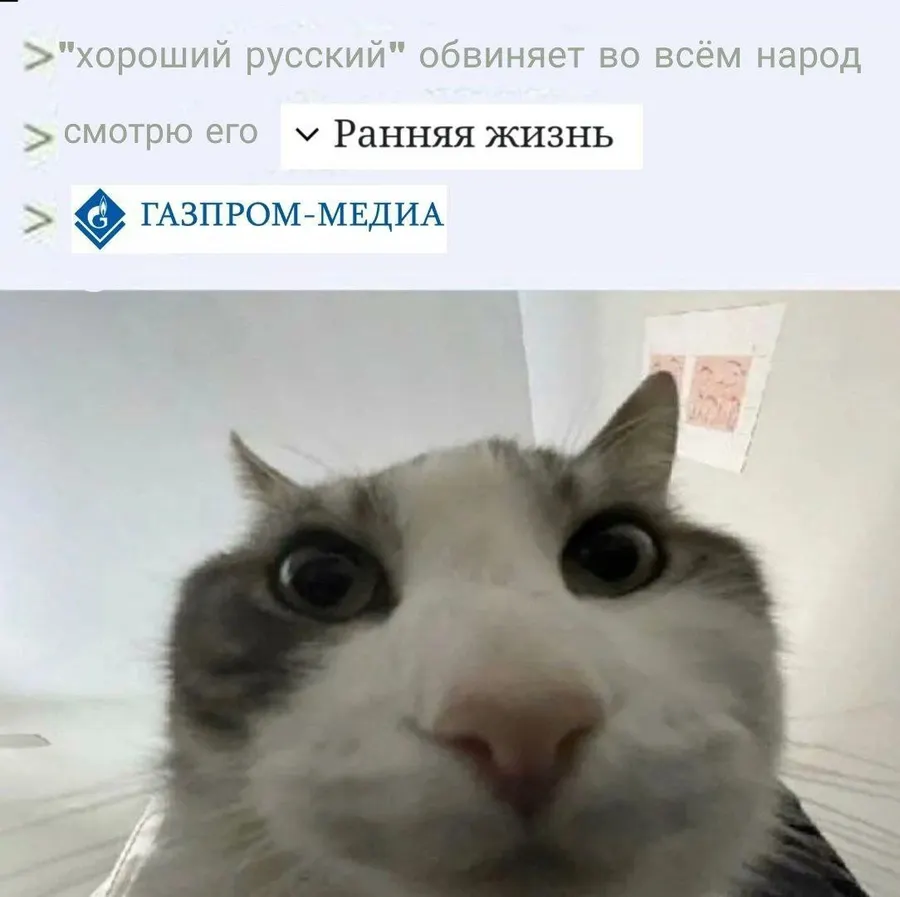 Untitled meme