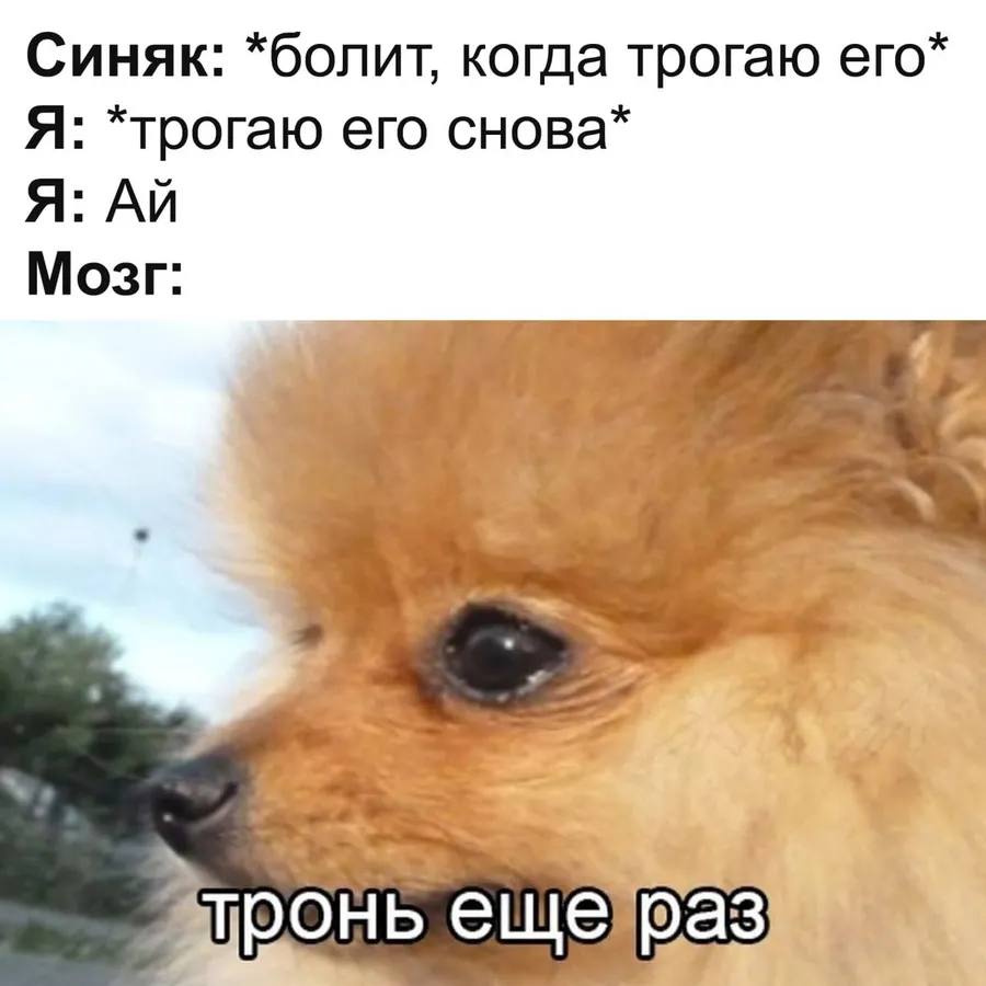 Untitled meme